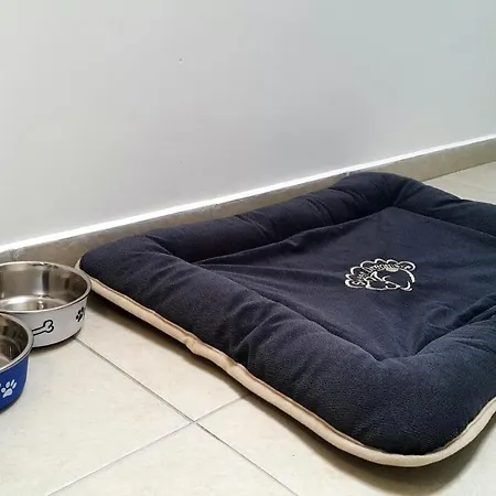 Super Center, Modern Under The Stars Apartment